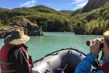 Seward to Skilak - Backcountry Adventure Day Trip