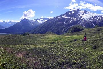 Seward Wilderness Hiking