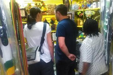 Kingston Highlights Tour from Negril