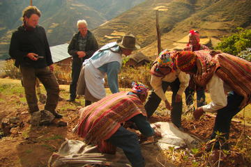 Potato Cultural Tour at Pisaq Potato Park Including Lunch
