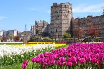 Full Day Private Best of Istanbul Tour