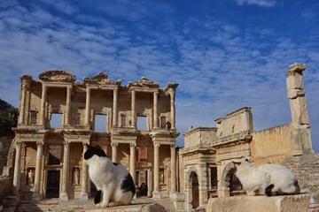 Low Cost The Best of Ephesus Tour from Izmir Airport