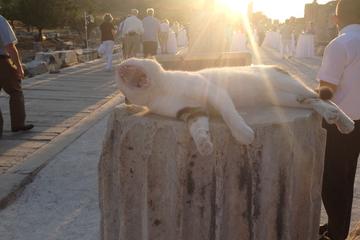 Unique Archaeology of Ephesus & Museum Tour from Izmir, Hotels ,Port