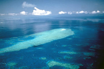 Great Barrier Reef Scenic Flight from Cairns Including Green Island, Oyster Reef, and Heart in the Reef