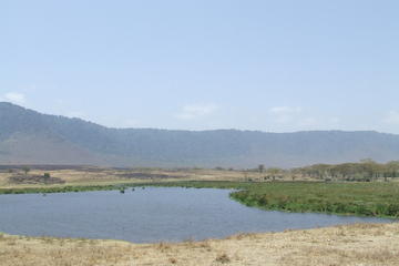 7-Day Private Tour: Lake Manyara, Serengeti, Ngorongoro and Tarangire from Arusha