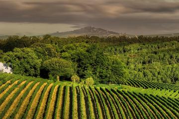 Stellenbosch, Franschoek and Paarl Winelands Tour from Cape Town