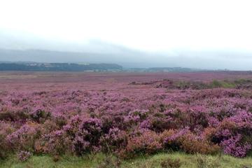 Haworth, The Famous Ilkley Moor and Bolton Abbey