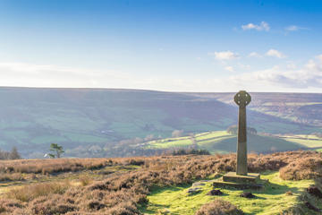 North Yorkshire Moors and Whitby Day Tour from York
