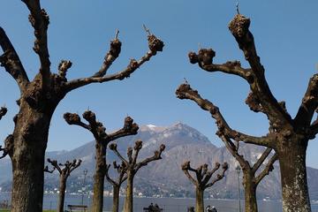Food and Wine tour on Como Lake
