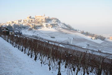 From Turin: Full day Langhe Region with its Colors and Flavors