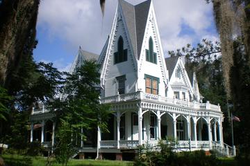 Day Trip Historical Plantation Tour at Ardoyne Plantation near Houma, Louisiana 