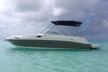 26 ft Searay - 7 passengers