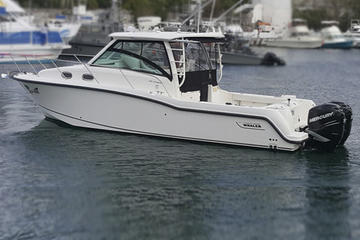33 Ft, Boston Whaler