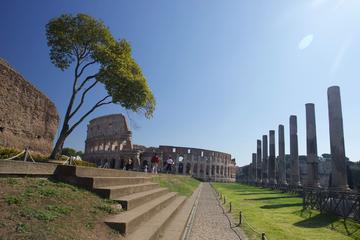 Early Morning Colosseum and Ancient Rome Small Group Tour