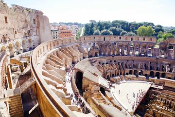 The Official VIP 2-Hour Colosseum Underground Tour