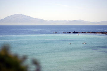 Kayak & Snorkel Tour in the Strait of Gibraltar