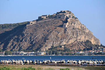 Self-Guided Private Day Tour of Mycenae - Palamidi fort - Epidaurus from Nafplio with Lunch