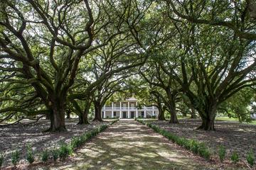 Whitney Plantation Tour