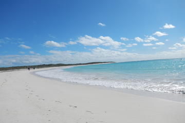 Abrolhos Islands Shipwreck Air and Land Tour from Geraldton