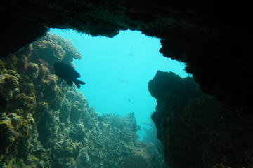 Half-Day Abrolhos Islands Shipwreck Air and Land Tour from Geraldton