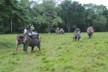 Chitwan Jungle Safari