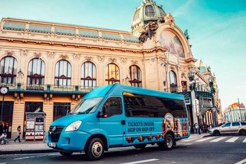 Sightseeing Bus Tour with Boat Cruise & Dinner in a Restaurant & Free Transfer