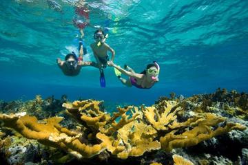 Hurghada Day Tour Giftun Island Snorkeling Trip