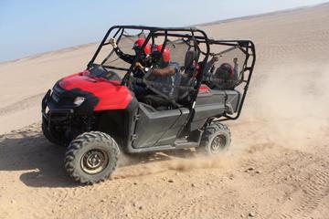 Luxurious Morning Safari Buggy Car Tour in Hurghada Desert