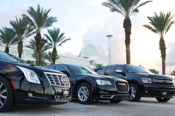 Orlando Port Transfer: Airport to Port Canaveral