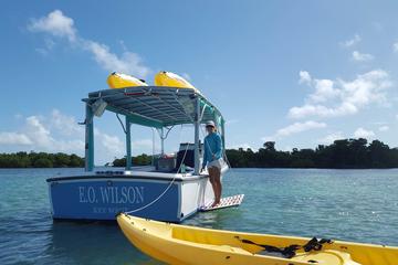 Small Group Kayak and Snorkel Eco Tour