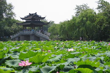 Hangzhou Day Trip from Shanghai