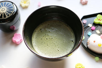 Private Tea Ceremony in a Traditional Japanese Garden in Tokyo