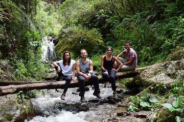 Half Day Hike to Yanachaga National Park