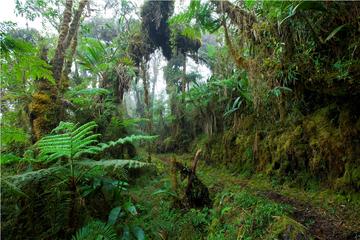 Oxapampa to Pozuzo by Bicycle