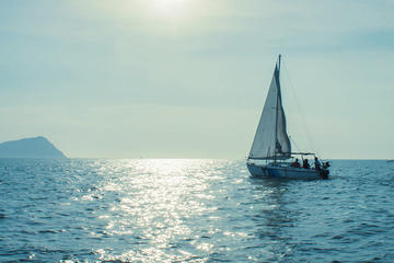 Private Sailing Tour to Palomino Island from Lima