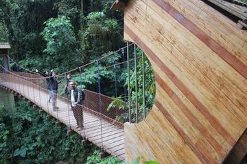 Tigre River Waterfall Hike