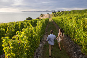 Full-Day Taste the Wines of Marlborough Tour