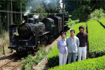 Authentic Japanese Tea Tasting at a Tea Plantation