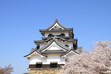 Discover Lake Biwa's Eastern Shores with a Local Guide