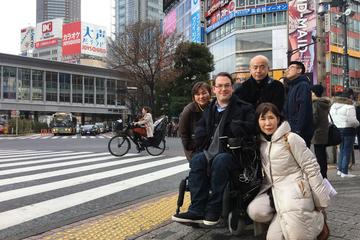 Full-Day Accessible Barrier-Free Tokyo for Wheelchair Users