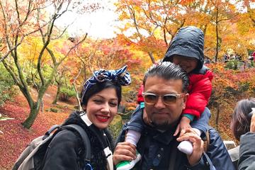 Muslim-Friendly Kyoto Tour with Halal Beef Lunch