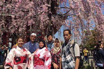 One Day Muslim-Friendly Tour of Tokyo