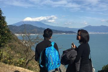 Mt.Fuji and Ocean View Ukiyo-e Walking Tour