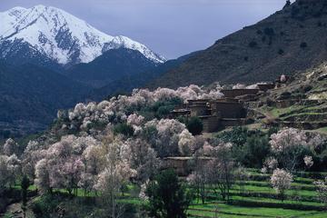 Atlas Mountains and 4 Valleys Private Tour from Marrakech