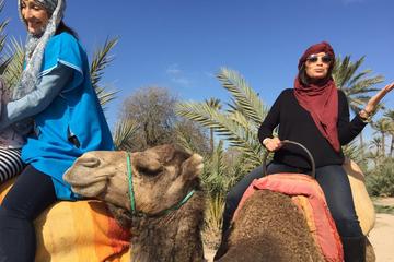 Camel Ride Tour in the Palm Grove of Marrakech
