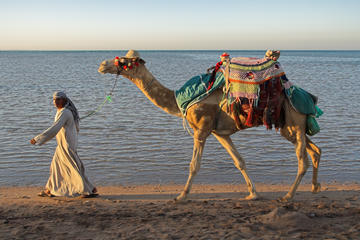 Private Guided Day Tour of Tangier