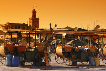 Private Tour: Half-Day Sightseeing Tour of Marrakech