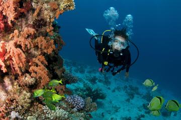 Cabo San Lucas 2 Tank Customized Dive