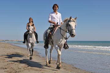 Los Cabos Horseback Riding