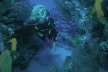 Los Cabos Shore Excursion: Customized 2-Tank Dive